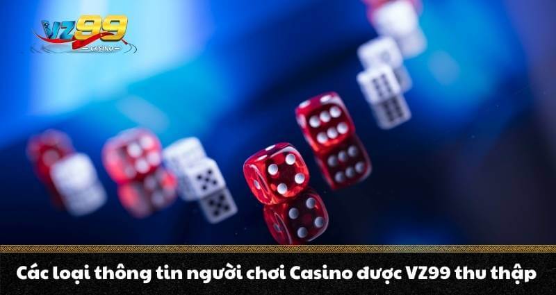 CHÍNH SÁCH BẢO MẬT VZ99 2 Các loại thông tin người chơi Casino được VZ99 thu thập