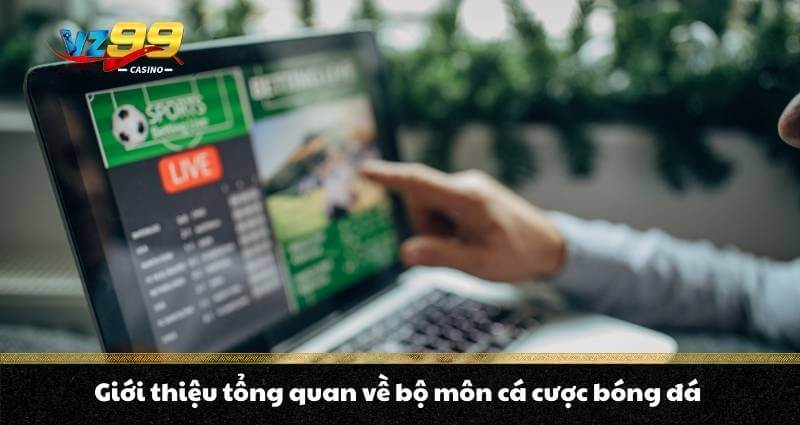 Cá cược bóng đá là gì? Top kèo cược ưu chuộng nhất năm 2026 6 Giới thiệu tổng quan về bộ môn cá cược bóng đá